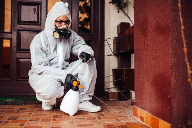Reliable Wasp Removal contractor in Westover, WV by Show Me Pest Control